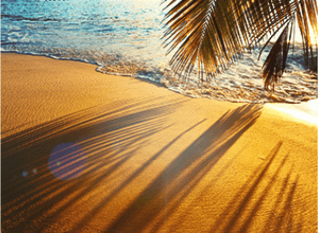 Healing Workshop Mallorca